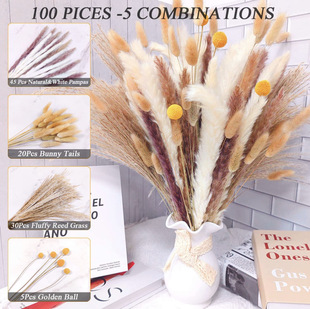 Amazon small Reed dried flower bouquet small dust small reed grass Reed dried flower rabbit tail grass Yunnan factory wholesale