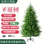 仿真加密圣诞定制圣诞树