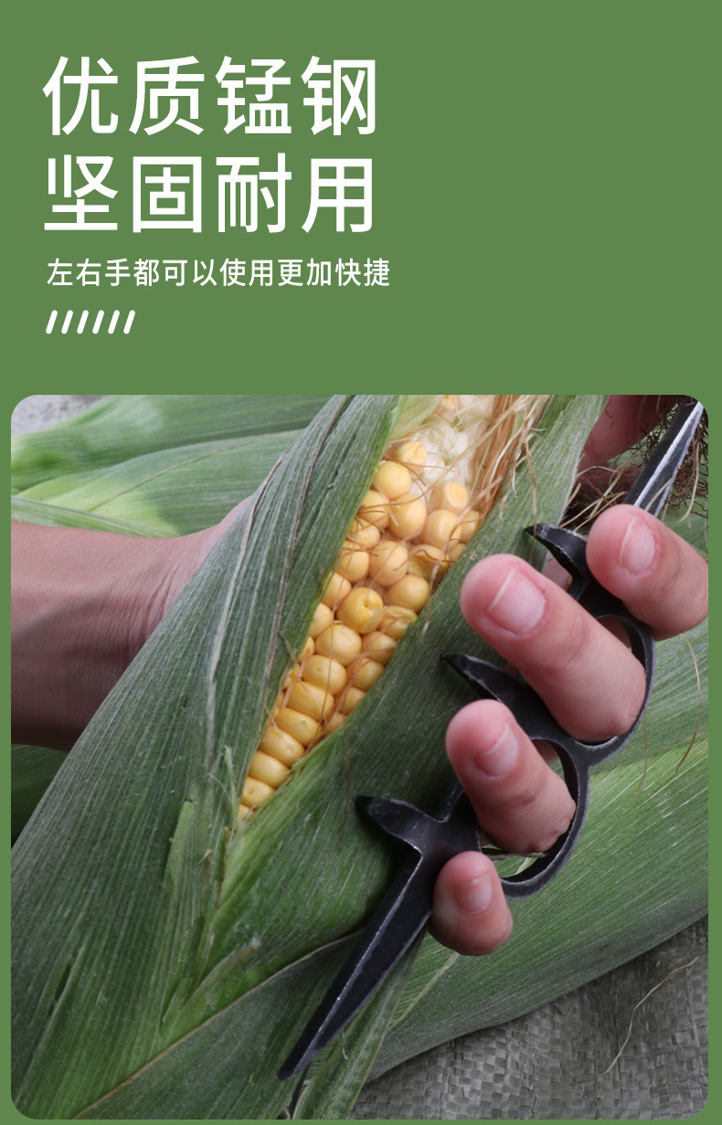 剥玉米_05.jpg