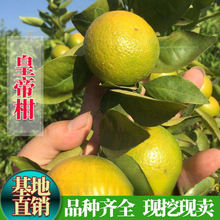 ���ڏV���ʵ۸��٘��籡Ƥ���ټ޽�ɰ����ؕ�̟o���۽��箔��Y��