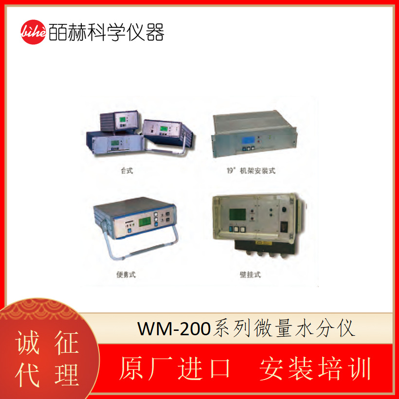 海默生HMSENSE WM-200系列微量水份仪 在线水份计