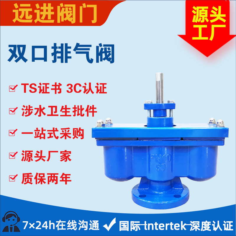 铸铁双口排气阀 德标PN16双口排气阀远进