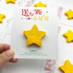 立体星種子紙カスタムビジネス活動小プレゼント環境保護栽培可能発芽紙小紅花カード