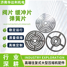 压缩机气阀阀片缓冲片申元远大沈鼓东方成压添益高压缩机配件