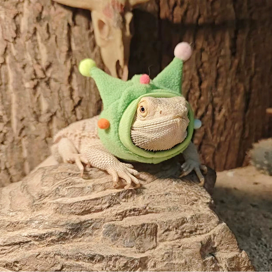 Ящерица шляпа маленькая домашняя одежда