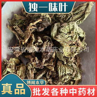 ���l��һζ�~��ș�� ��� �򲼰� ��һζ ���N�䱳����l