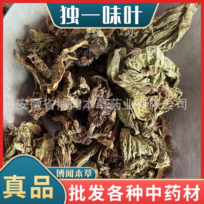 批发独一味叶中药材 大巴 打布巴 独一味 各种冷背奇代发