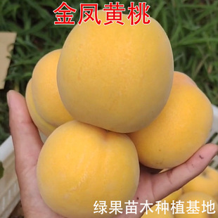 ������ �޽����� ���P�S�� �S���� ���� �����Ҙ��� �Ϸ������Nֲ