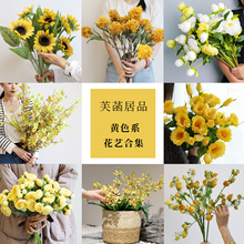 ���滨�߼��мٻ��ҾӲ廨��۹����}��С¶ɏ��ș���տ��Ĕz����