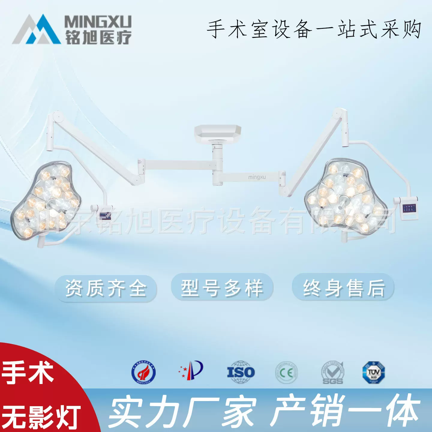 手术无影灯LED手术室检查灯移动医美宠物口腔妇科眼科骨科多功能