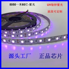 5050紫光灯带UVA杀菌消毒验钞鉴定诱虫光365nm-420nm波段 LED灯条