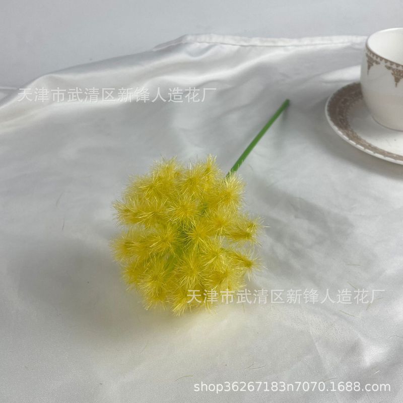 タンポポは玉ねぎの花球の造花撮影だけを模倣しています。|undefined