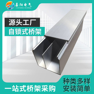 Self-Locking Bridge Manufacturer Customized Galvanized Bridge One-Time Molding Wiring Trough Separated Metal Cable Bridge