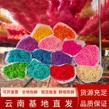 满天星永生花干花花束云南工厂直销满天星永生花手工diy批发鲜花