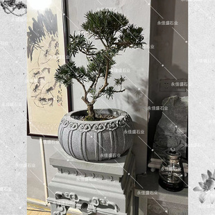 ʯ�^�������軨ƿˮ������ʽ�ҾӾGֲ�辰���P���Կ͏d�Ƶ����