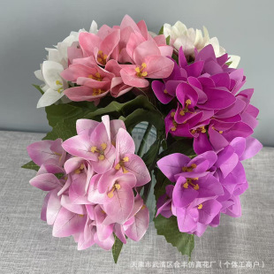 ��֧����õ�ٻ������b���õ�tɫ���滨���Q�ٻ��羳���컨���l