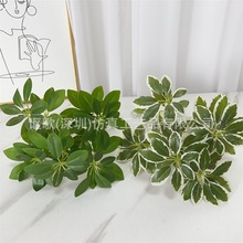 �ٻ��Gֲ����ֲ�����_ľ����ľ���̠�����~�������~����Gֲ����