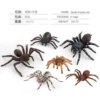 Spider 6 -piece set 194.7g