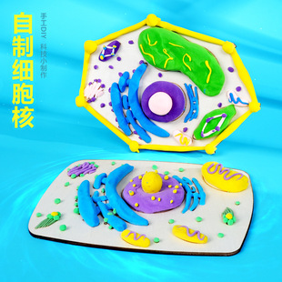 ��ֲ�����Ƽ����˳��и�������̲�ͬ���ֹ��Ƽ�С�����̾���