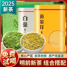 正宗白茶安吉黄金芽茶叶2025新茶明前绿茶官方旗舰店茶叶自己喝