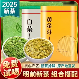 绿茶;白茶;红茶