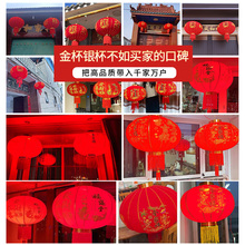 Z7GN2024新款大红灯笼一对过年大门口宫灯阳台挂饰新年户外中国风