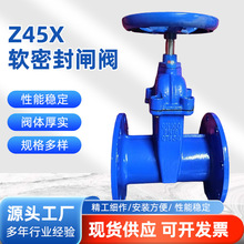 �Ĵ���ڏ����mܛ�ܷ��l�y��ī�T�FZ45X���������l�����l���U�l�y