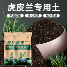 �ԷN��߅��Ƥ�m���I�B�����������N�Bֳ������β�m������