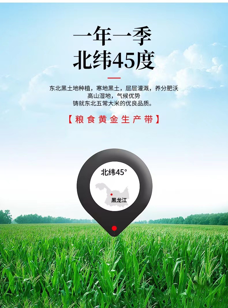 521f6ff38312b72237ee2d11e6ddcc