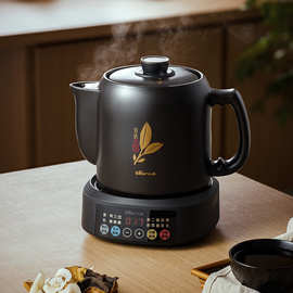 小熊煎药壶电煎壶熬中药砂锅全自动家用多功能药罐养身煮中药煲