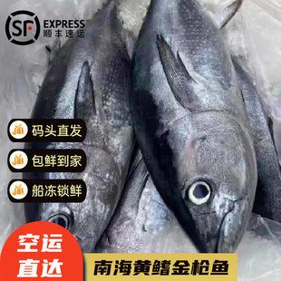 �g�؞� ���l���~ ���a�S���𓌽����r�~���������~�ͶY�Y�д�