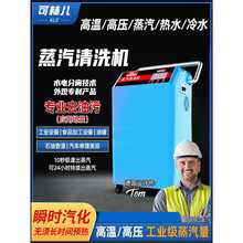 蒸汽清洗机高温高压蒸汽清洁机洗车机智能多功能工业用蒸气清洗机