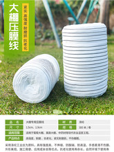 ���r��Ĥ����ɫ���Ҵ��������]�z��Ĥ����Ĥ�K�߲���Ĥ������Ĥ