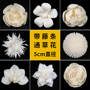 �F؛���lح5cm���Nͨ�ݻ��ɻ� �ֹ����Ҿ��bo����ՔU��ͨ�ݻ�