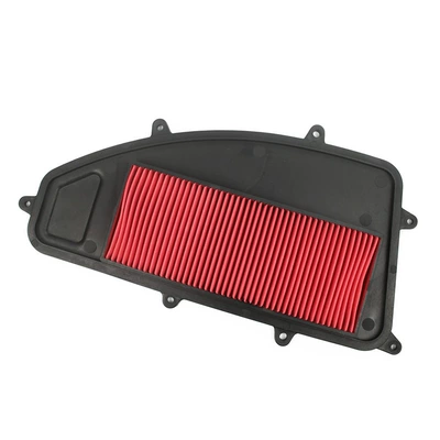 Guangyang Pedal Motorcycle Xciting Air filter