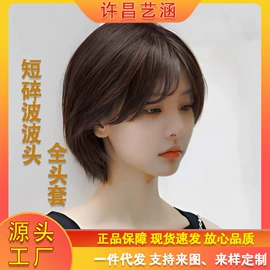 假发马尾;假发片;其他假发