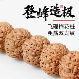 尼泊尔飞碟五瓣六瓣金刚菩提手串原籽精品单颗配饰配珠文玩手持男