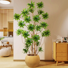 ����Gֲ�ٺ�����ܷ������٘�ֲ��߶��p���҃ȴ�����ؔ[���͏d