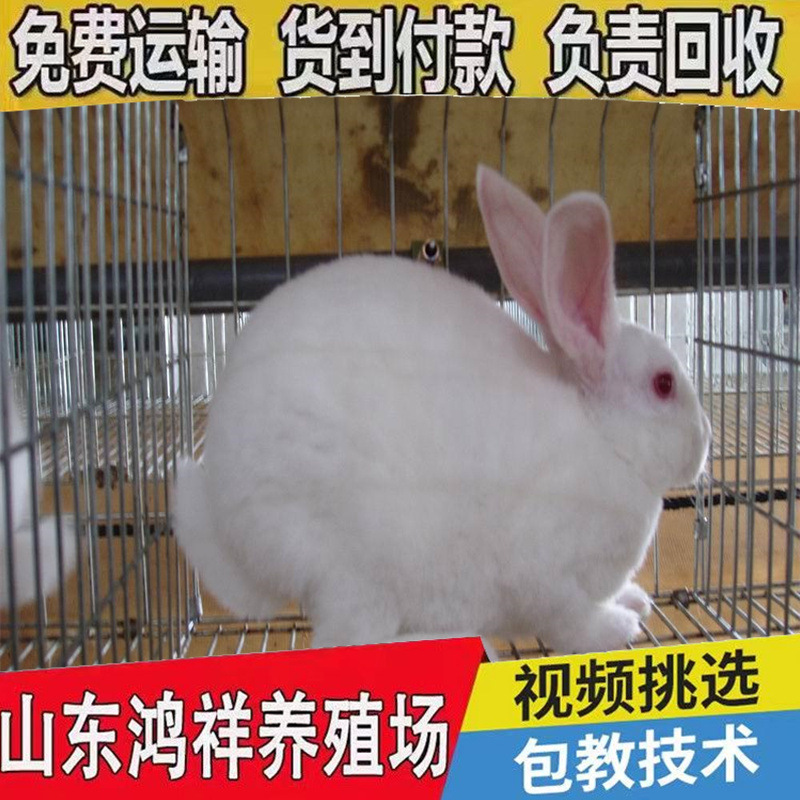 267f9e2f070828383f55108fb899a9