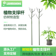 树枝造型植物支撑杆阳台家用园林支架花园爬藤树固定架子批发