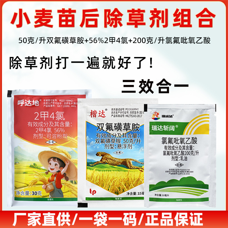 小麦田除草剂2甲4氯双氟磺草胺氯氟吡氧乙酸婆婆纳猪殃殃婆婆纳
