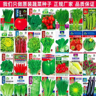 �߲˷N���ļ����N�̨�r��ͥԺ�������˲��˾²���˲�ݮ���ݰ��]