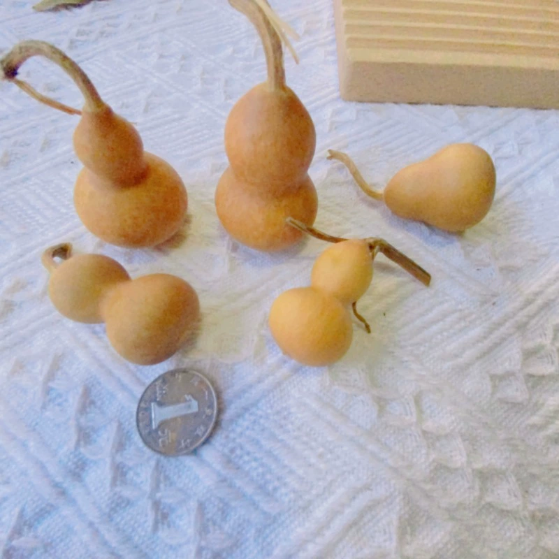 DIY фруктовая раковина Pinecorus деревянный кусочек лист сухоцвета фруктовое сочетание Рождество установленный детский сад украшение винтажное предложение