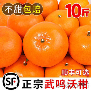 �V�����Q�ָ�10�����rˮ����������ɳ������ɰ�Ǹ��ٽ�������