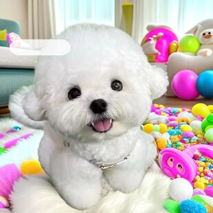 �pѪ�y���N������Ȯ���w����Ȯ̩��ȮС��Ȯ���BС�w���ﹷ��