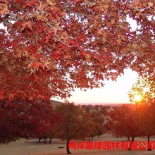 �����ع����̡�����5-10���ֵ���Ǘ���ľ �r����˃��� �gӭ�ԃ