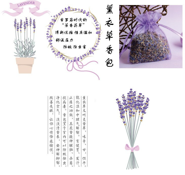 8373475152_211849137