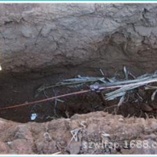 ��~䓽g���S��  ���I���ӵز���