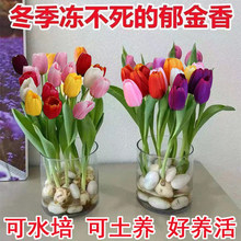 ���½����]��������N������ˮ���ͺ��������҃���ͥԺ��������