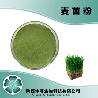 大麦青苗粉99%    沐菲生物   另有大麦粉提取物  食品级
